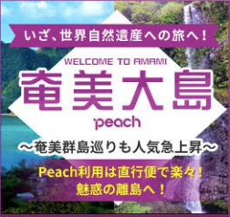 国内旅行・国内ツアーの格安・最安値予約検索｜おすすめ2