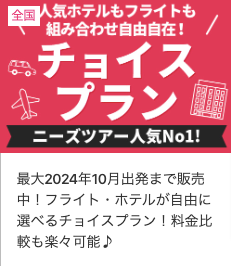 格安国内旅行・国内ツアーのニーズツアー (1)